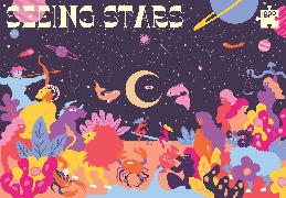 Seeing Stars: 1000-Piece Jigsaw Puzzle