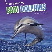 All about Baby Dolphins