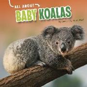 All about Baby Koalas