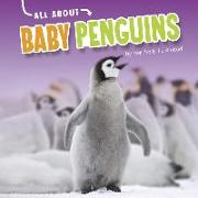 All about Baby Penguins