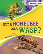 Is It a Honeybee or a Wasp?