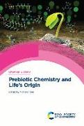 Prebiotic Chemistry and Life's Origin