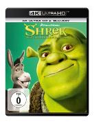 Shrek - Der tollkuhne Held - 4K UHD