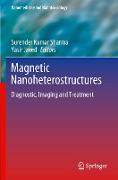 Magnetic Nanoheterostructures