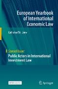 Public Actors in International Investment Law