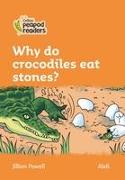 Level 4 - Why do crocodiles eat stones?
