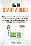 How to Start a Blog: Step by Step Beginner's Guide with Strategies for Profiting From Blogging Content Writing, and Ideas for Making Money