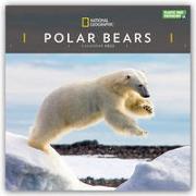 Polar Bears National Geographic Square Wall Calendar 2022