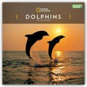 Dolphins National Geographic Square Wall Calendar 2022