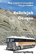 Hallelujah Canyon: They Experience Everywhere - They Go Nowhere