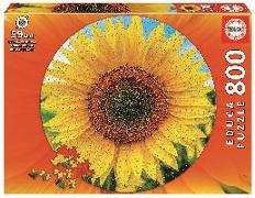 Sonnenblume 800 Teile Rund-Puzzle