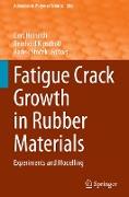 Fatigue Crack Growth in Rubber Materials