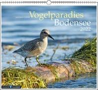 Vogelparadies Bodensee 2022