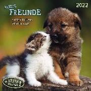 Little Friends/Kleine Freunde 2022