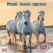 Horses/Pferde 2022