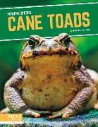 Invasive Species: Cane Toads
