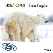 Polar Bears/Eisbärchen 2022