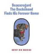 Beauxregard The Dachshund Finds His Forever Home