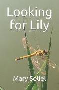 Looking for Lily