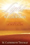 Light in the Wilderness: Explorations in the Spiritual Life