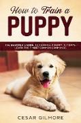 How to Train A Puppy: The Beginner's Guide to Training A Puppy In 7 Days. Learn the 7 Most Common Commands