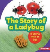 The Story of a Ladybug