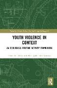 Youth Violence in Context