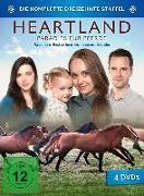 Heartland - Paradies für Pferde, Staffel 13