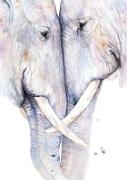 Postkarten Elefanten