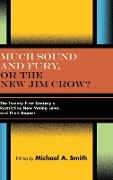 Much Sound and Fury, or the New Jim Crow?