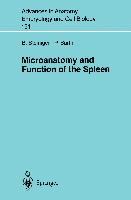 Microanatomy and Function of the Spleen