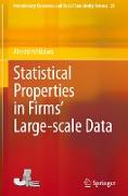 Statistical Properties in Firms¿ Large-scale Data