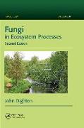 Fungi in Ecosystem Processes