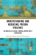 Understanding and Reducing Prison Violence