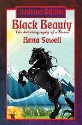 Black Beauty (Illustrated Edition)