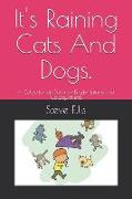 It's Raining Cats And Dogs.: A Collection of Common English Idioms and Colloquialisms