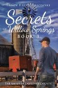 Secrets of Willow Springs - Book 3