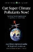 Cut Super Climate Pollutants Now!: The Ozone Treaty's Urgent Lessons for Speeding Up Climate Action