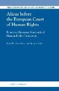 Aliens Before the European Court of Human Rights: Ensuring Minimum Standards of Human Rights Protection