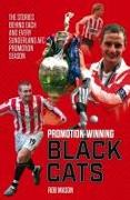 Promotion Winning Black Cats