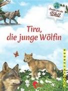 Tira, die junge Wölfin