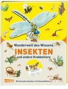 Wunderwelt des Wissens - Insekten und andere Krabbeltiere