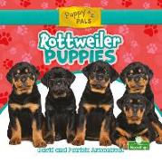 Rottweiler Puppies