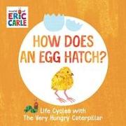 How Does an Egg Hatch?