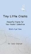 Tiny Little Cracks