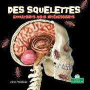 Des Squelettes Effrayants Mais Intéressants (Creepy But Cool Skeletons)