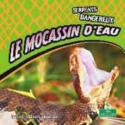 Le Mocassin d'Eau (Cottonmouths)