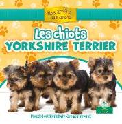 Les Chiots Yorkshire Terrier (Yorkshire Terrier Puppies)