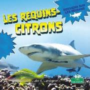 Les Requins-Citrons (Lemon Sharks)