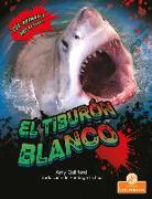 El Tiburón Blanco (Great White Shark)